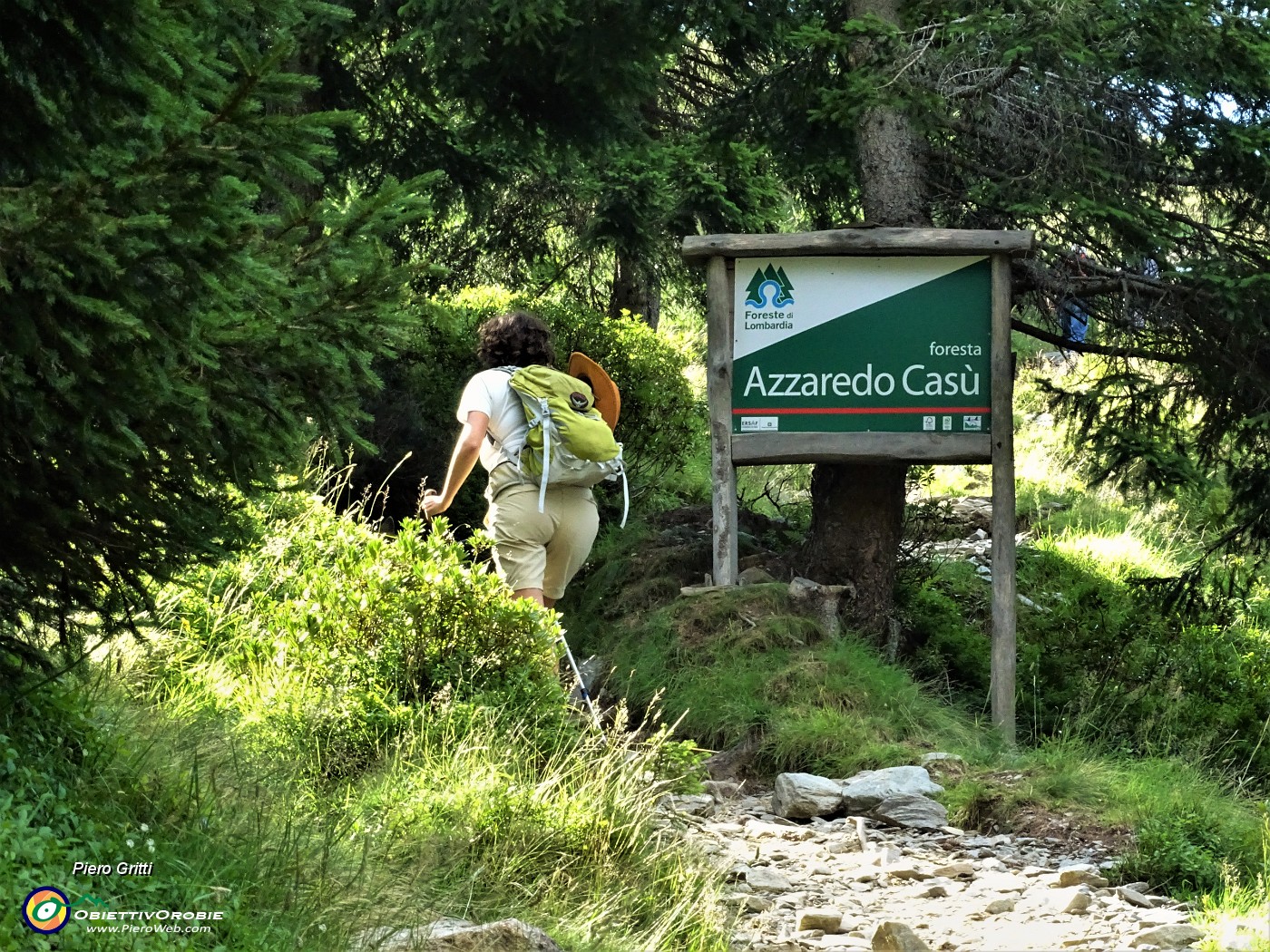 20 E qui termina l'abetaia - Foresta Aazaredo Casu.JPG